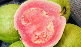 芭乐视频,揭秘热门短视频背后的魅力与影响力