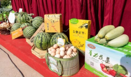 淮北吃瓜最新事件爆料,揭秘背后惊人真相！