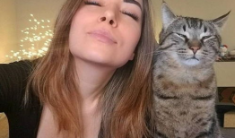 91p0k午夜猫咪直播,揭秘神秘网络直播背后的故事